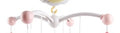 Baby Crib Mobile
