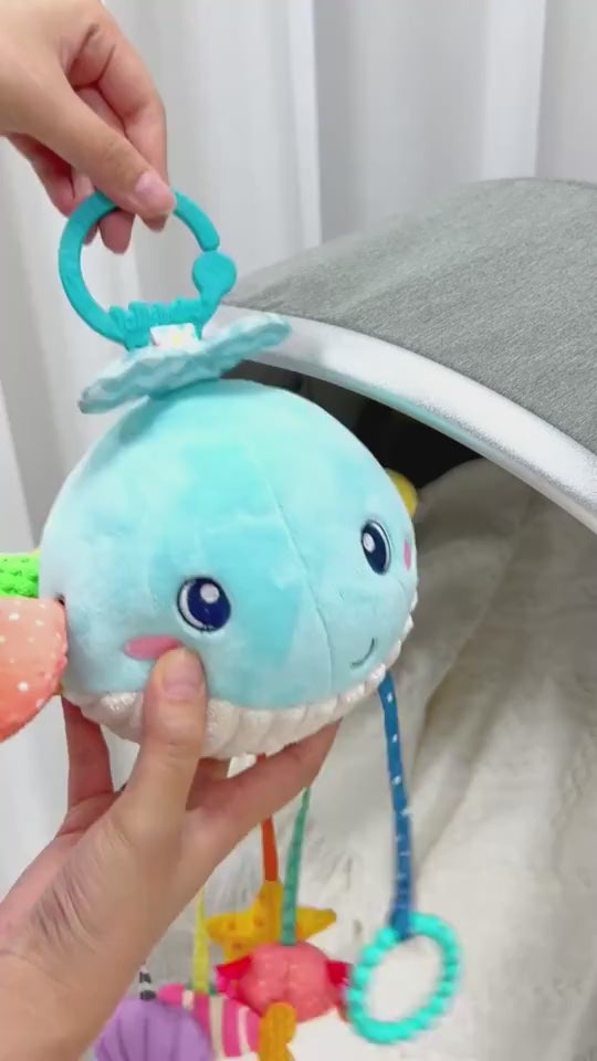 Baby Car Hanging Toy